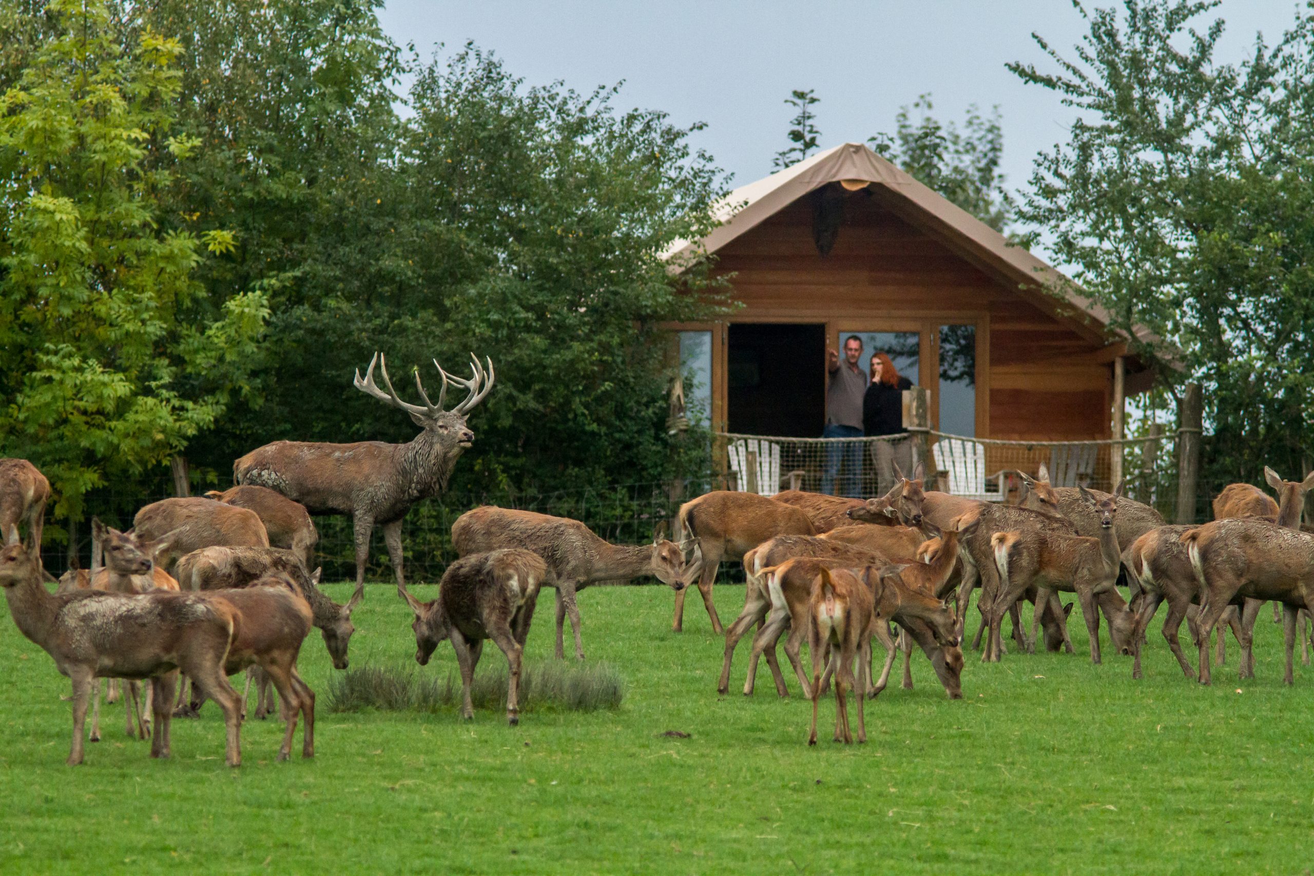 Un Week End Insolite En Grand Est Explore Grand Est